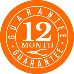 school shoes 12 month guarantee